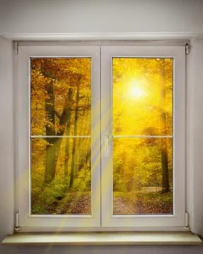Autumn window Foto stock