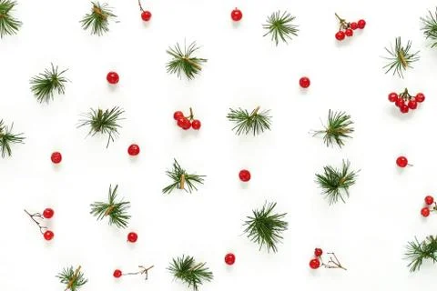 Autumn, winter composition. Pattern made of from the branches of larch and berri Stock Photos