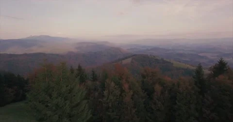 Autumn woods Video stock 68596844