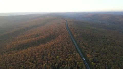Autumn into the Woods Stock Footage 290043142