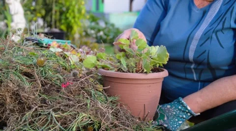 Autumn work Stock Footage 67999375