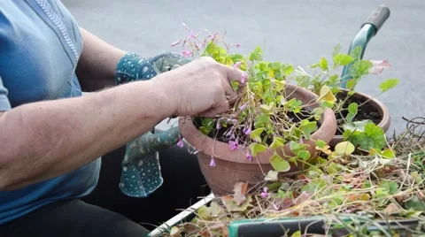 Autumn work Stock Footage 67999402