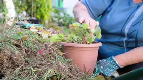 Autumn work Stock Footage 67999438