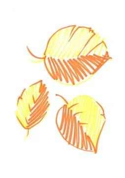 Autumn yellow apple tree leaf, hand-drawn with a felt-tip pen on a white Stock Illustration