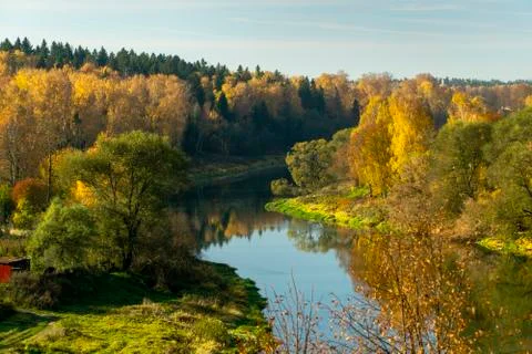 Autumn yellow forest and river Foto stock