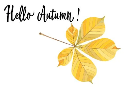 Autumn yellow leaf of a chestnut isolated on white background. Vector Illustr Stock Illustration