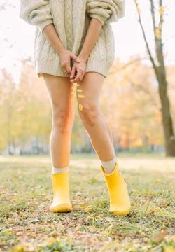 Autumn yellow leaf fall conceptual girl park Stock Photos