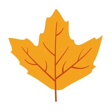 Autumn yellow leaf of a tree. Vector flat illustration. Stock Illustration
