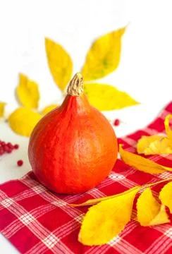 Autumn yellow leaves, orange pumpkin and red tablecloth against white Stock Photos