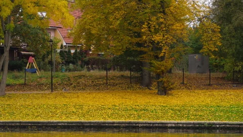 Autumn yellow park, leaf fall Stock Footage 286042557