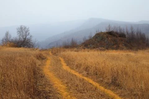 Autumn yellow path Stock Photos