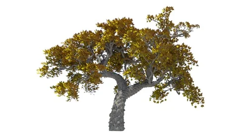 Autumn Yellow Trees Isolated With Alpha Stock Footage 120645237
