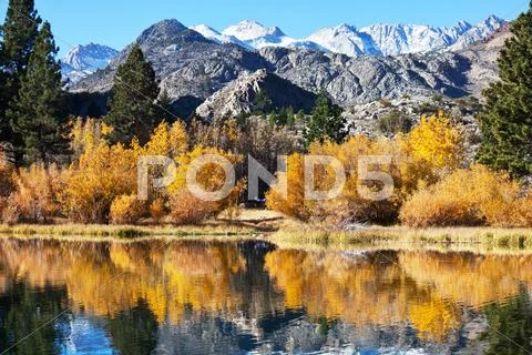 Autumn in zion park Stock Photos