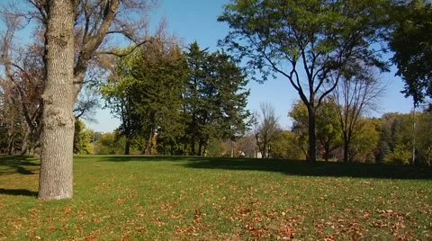 Autumn03 Stock Footage 882339