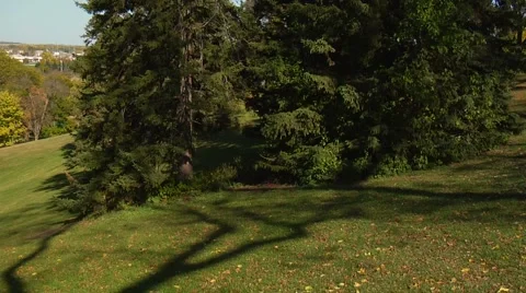 Autumn05 Stock Footage 882341