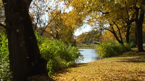 Autumn13 Stock Footage 882237