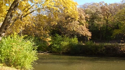 Autumn23 Stock Footage 882235