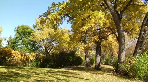 Autumn24 Stock Footage 882241