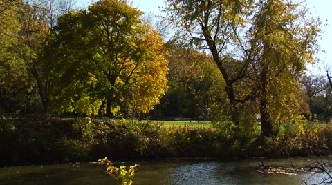 Autumn26 Stock Footage 882224