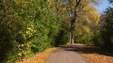 Autumn28 Stock Footage 882229