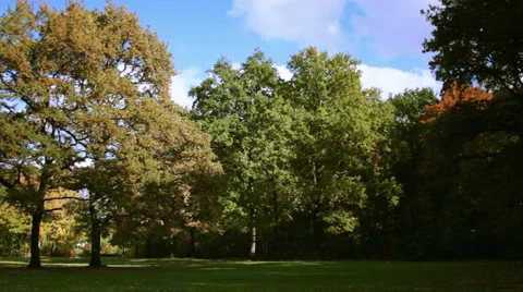 Autumn_10 Stock Footage 905633