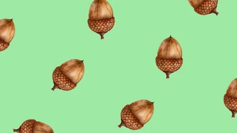Autumnal Acorn Pattern on Green Background Stock Footage 278385973