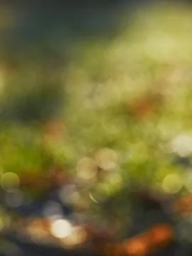 Autumnal background Stock Photos