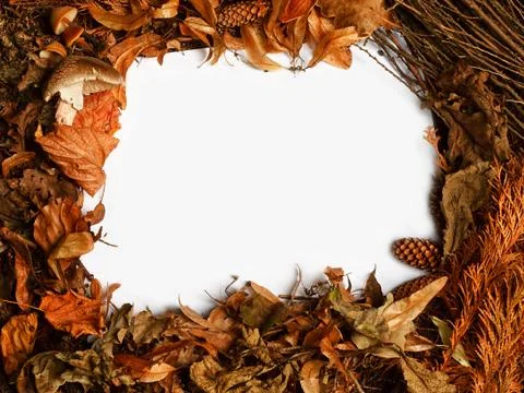 Autumnal border Stock Photos