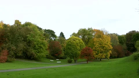 Autumnal colours Stock Footage 887752