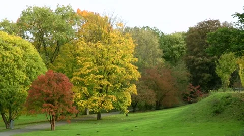 Autumnal Colours Stock Footage 887754