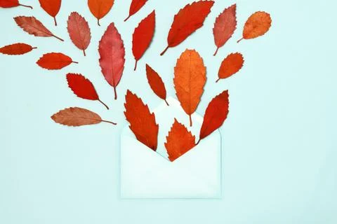 Autumnal composition Stock Photos