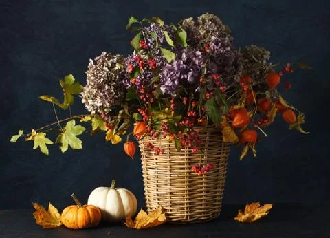 Autumnal composition Foto stock