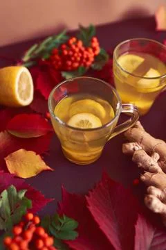 Autumnal composition with two cups of ginger tea Stock Photos