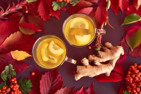 Autumnal composition with two cups of ginger tea Stock Photos