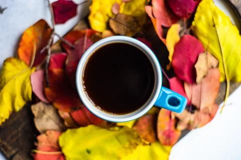 Autumnal cup of coffee Stock Photos