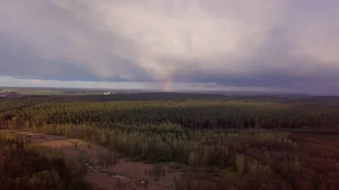 Autumnal forest with dramatic sky and rainbow. 4k AERIAL. Stock Footage 153931765
