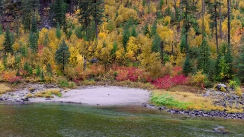 Autumnal forest landscape with a calm river and beach Stock Footage 344349846