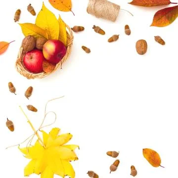 Autumnal frame composition. Fall leaves, apple, acorns on white background. A Foto stock