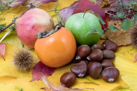 Autumnal fruit composition 스톡 사진