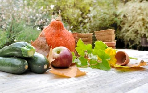 Autumnal harvest in garden Stock Photos