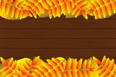 Autumnal leaf of beech and rowan Stock Illustration
