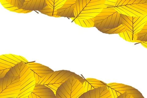 Autumnal leaf of beech Stock Illustration