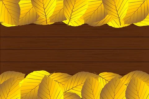 Autumnal leaf of beech Stock Illustration
