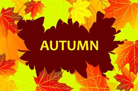 Autumnal leaf of maple イラスト素材