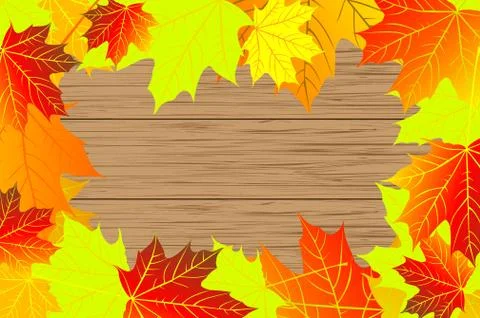 Autumnal leaf of maple イラスト素材