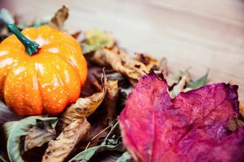 Autumnal leaf pattern on desk Foto stock