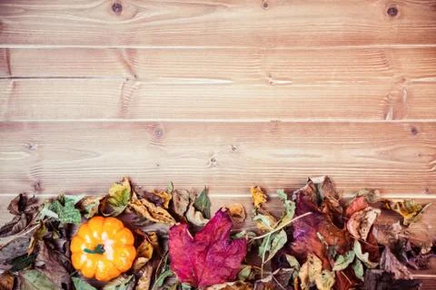Autumnal leaf pattern on desk Stock Photos