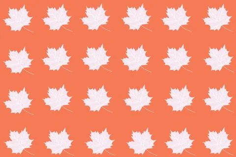 Autumnal pattern background of leaves on orange background Stock Illustration