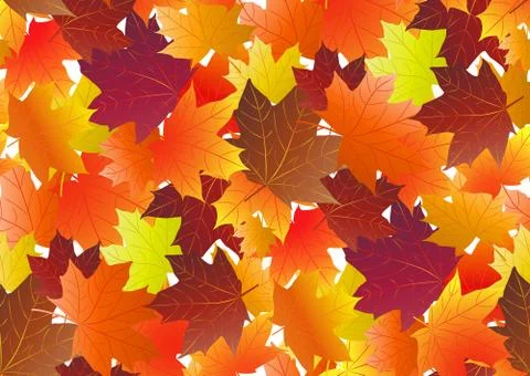 Autumnal pattern with fall maple leaves. Vector illustration 스톡 일러스트