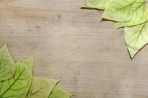Autumnal pattern - frame of yellow leaves on wooden background. Place for text. Stock Photos